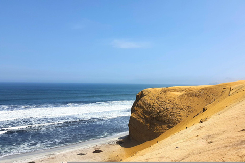 2 days from Lima Ballestas, Paracas, Huacachina and Nazca