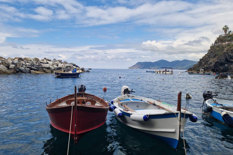 Florence: Cinque Terre & Pisa Day Trip with Transfers ECO-LOGIC Tour of 5 Terre and Pisa