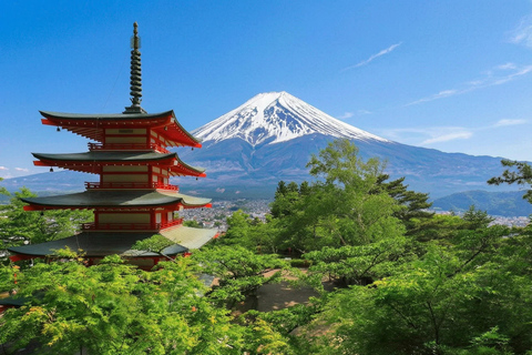Tokyo: Mt Fuji & Oishi Park, Oshino Hakkai, Chureito Pagoda Free Karaage Chicken Set | Tokyo Station 8:00AM