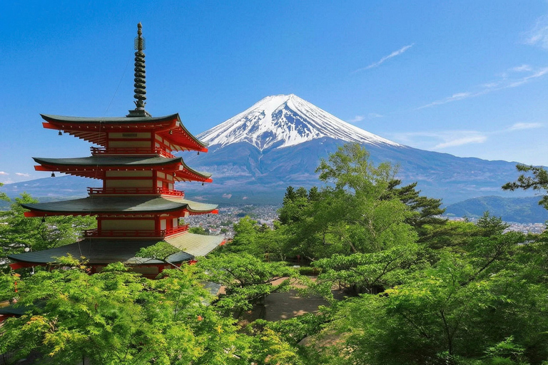 Tokyo: Mt Fuji & Oishi Park, Oshino Hakkai, Chureito Pagoda Free Karaage Chicken Set | Tokyo Station 8:00AM