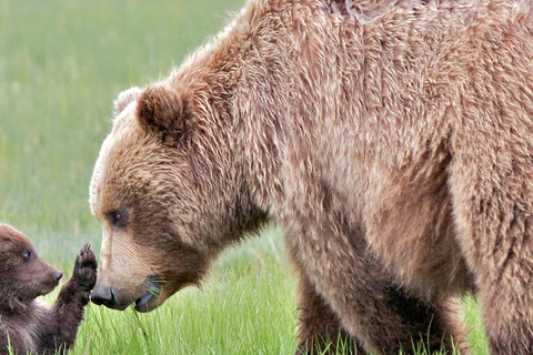 Banff/Canmore Moraine Lake & Lake Louise-Hike/Canoe/Sightsee