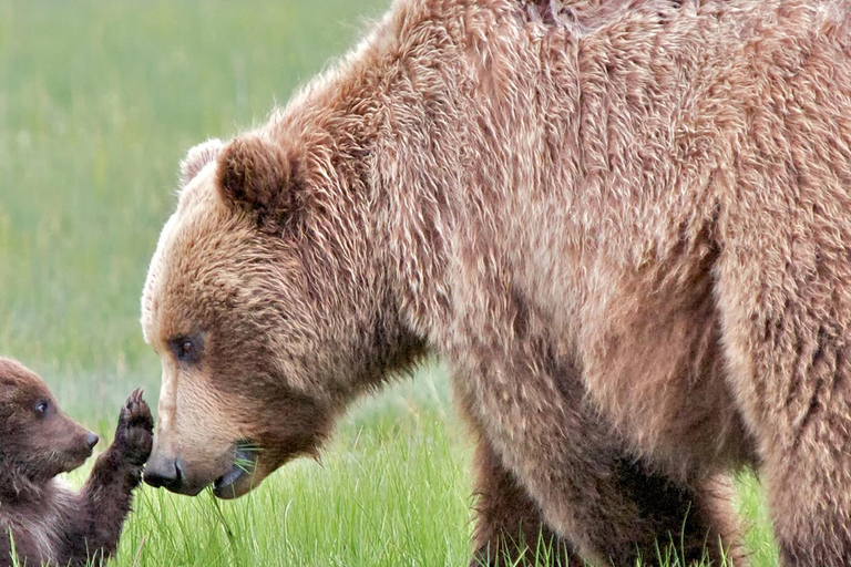 Banff/Canmore Moraine Lake & Lake Louise-Hike/Canoe/Sightsee