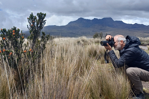 Quito: Cotopaxi Volcano Hike and Limpiopungo Lagoon Tour