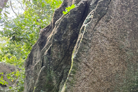 From Colombo: Cave Temples, Jungle Trek & Waterfall Swim
