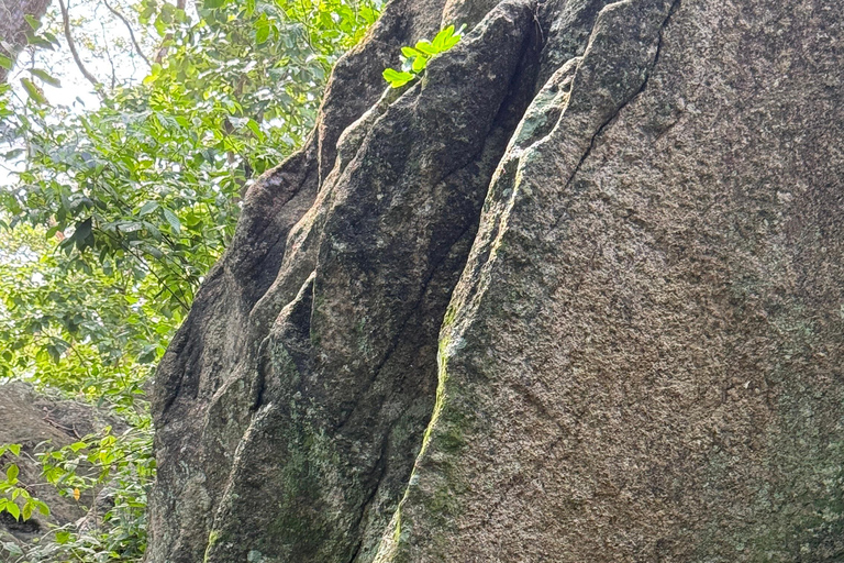 From Colombo: Cave Temples, Jungle Trek & Waterfall Swim