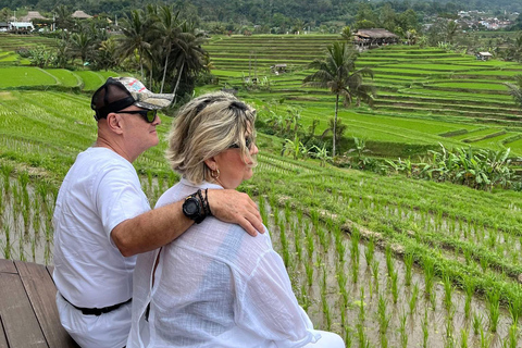 Bali: Shore Excursion for Cruise Passengers from Benoa Port Private shore excursion (No Ticket)