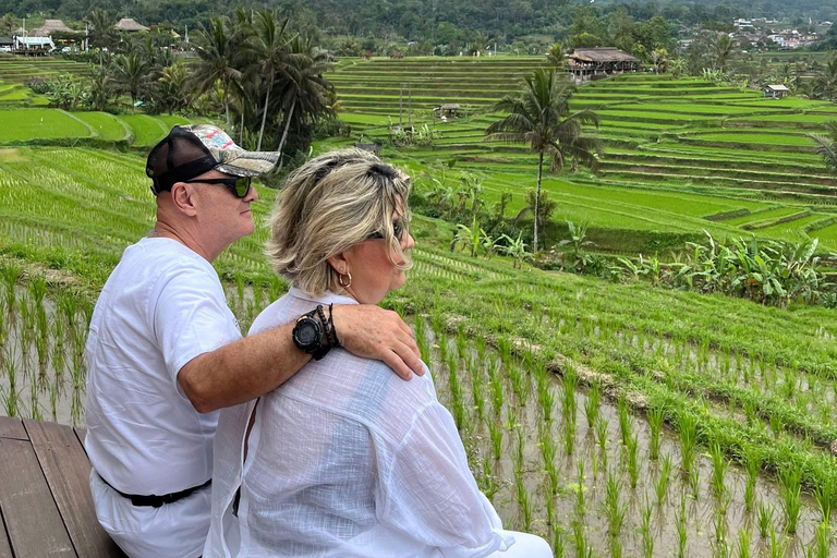 Bali: Shore Excursion for Cruise Passengers from Benoa Port Private shore excursion (No Ticket)