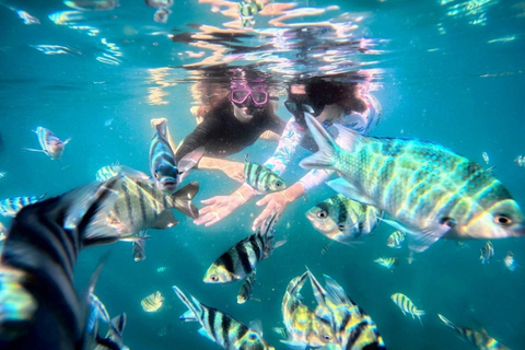 Pattaya: Koh Talu & 7 Islands Speedboat Tour with Lunch