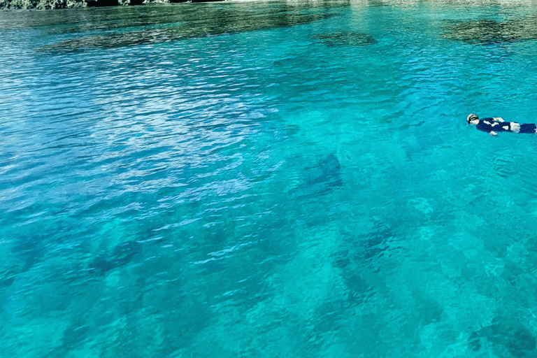 Sport acquatici Port Vila: Avventura di snorkeling sulla tripla barriera corallinaPort Vila: Avventura di snorkeling sulla tripla barriera corallina