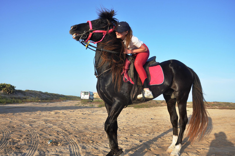 DJERBA : Randonnée à cheval privée (2h).