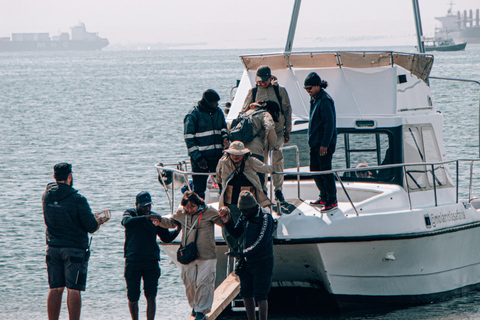 Walvis Bay: Marine Cruise with Beach Lunch