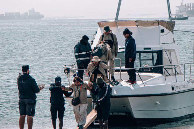 Walvis Bay: Marine Cruise with Beach Lunch