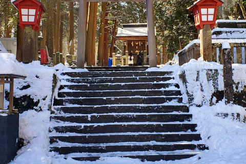 Viaje de 3 días a Tokio, el Monte Fuji y Hakone