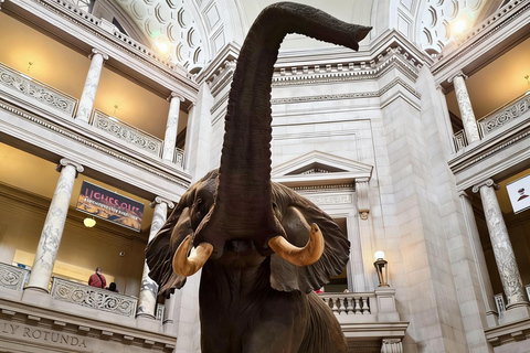 Beijing: National Museum of China Private Guided Tour Portuguese private tour