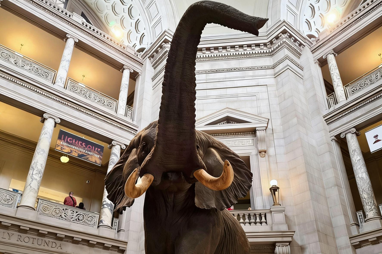 Beijing: National Museum of China Private Guided Tour Portuguese private tour