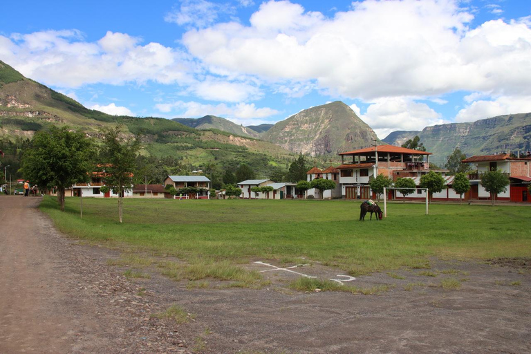 From Chachapoyas: Hike to the Gocta Waterfall with Lunch