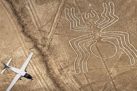 From Ica: Nazca Lines Flight with Wine and Pisco Tasting