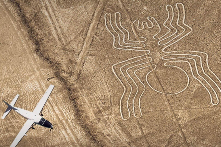 From Ica: Nazca Lines Flight with Wine and Pisco Tasting