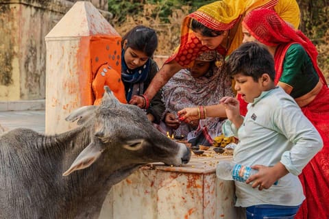 Jaipur: Full Day Sightseeing Tour By Car & Local Tour Guide