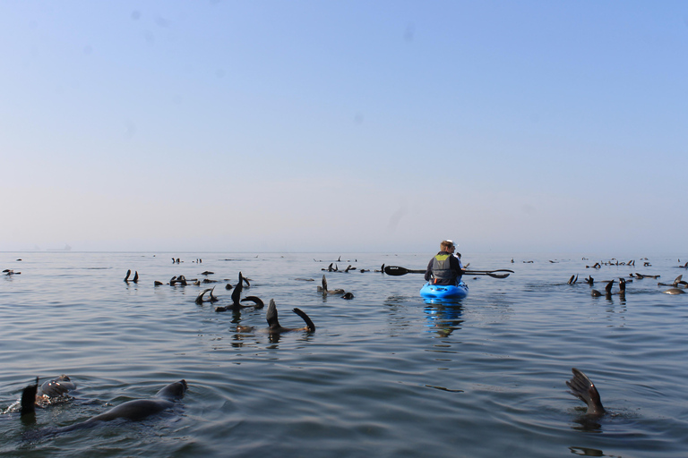 Swakopmund: 3-in-1 Kayaking, Sandboarding, & Quad Bike Tour