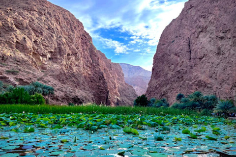 Vanuit Muscat: Wadi Shab en Bimah Sinkhole dagtrip