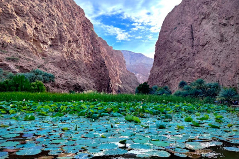 Desde Mascate: Excursión de un día a Wadi Shab y el sumidero de Bimah