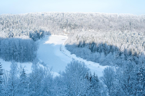 Från Riga: Gruppresa till Sigulda och TuraidaFrån Riga: Halvdagstur i grupp till Sigulda och Turaida