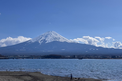Tokyo: Private Daytrip to Mount Fuji - Fully Customizable Mt Fuji Private Luxury Van Tour (Customizable Experience)