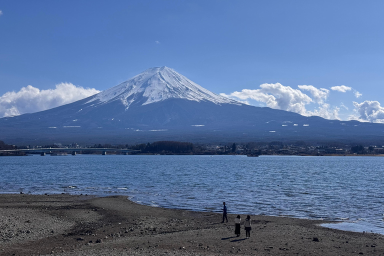 Tokyo: Private Daytrip to Mount Fuji - Fully Customizable Mt Fuji Private Luxury Van Tour (Customizable Experience)