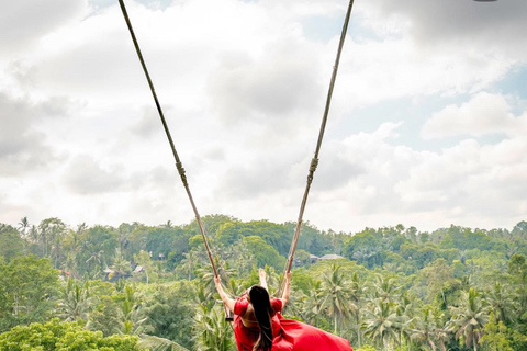 Bali: Griya Beji Water Ritual plus Monkey Forest and Swing