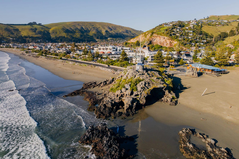From Christchurch: Akaroa Scenic Day Trip with Cruise Option
