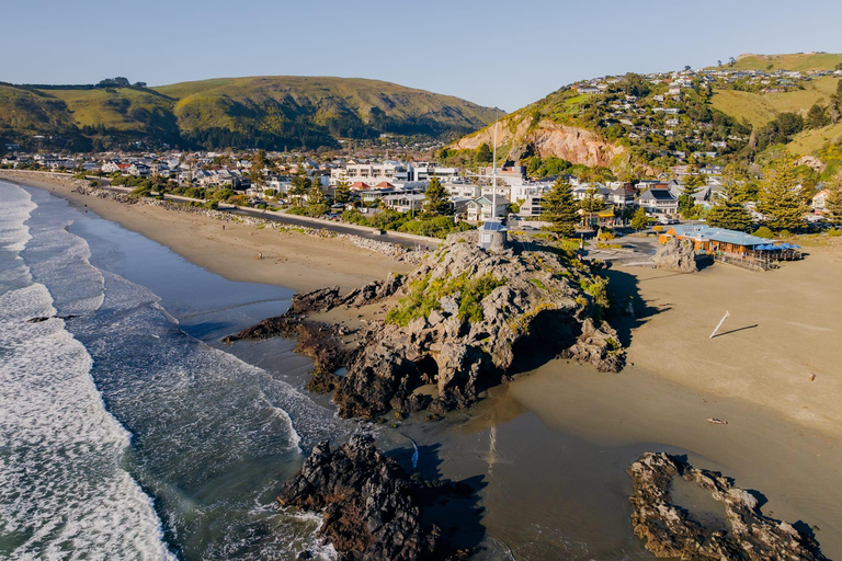 From Christchurch: Akaroa Scenic Day Trip with Cruise Option