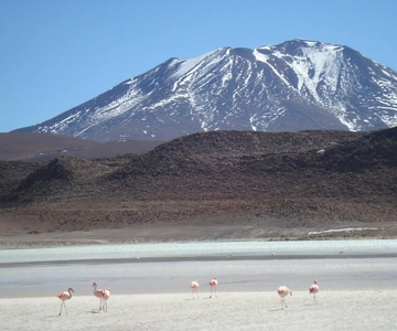 San Pedro de Atacama: 3 D. Tour Uyuni e Regresso a San Pedro