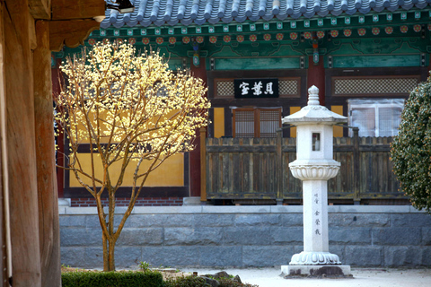 Tongdosa UNESCO & Gourmet Half Day Private Tour from Busan