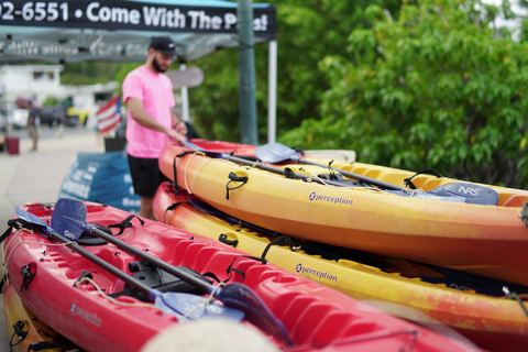 Fajardo: Bioluminescent Bay Kayak Tour in Puerto Rico