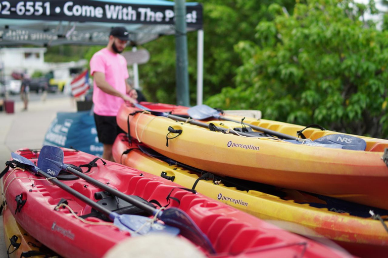 Fajardo: Bioluminescent Bay Kayak Tour in Puerto Rico