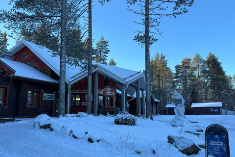 Rovaniemi: trip to the Ranua Zoo (transportation, tickets)