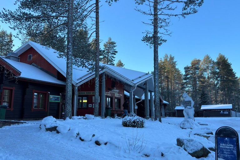 Rovaniemi: trip to the Ranua Zoo (transportation, tickets)