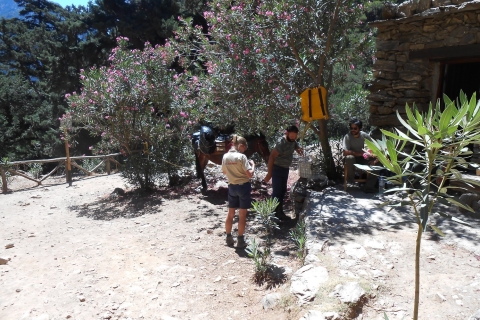 Creta: tour de senderismo por la garganta de SamariaDesde La Caena