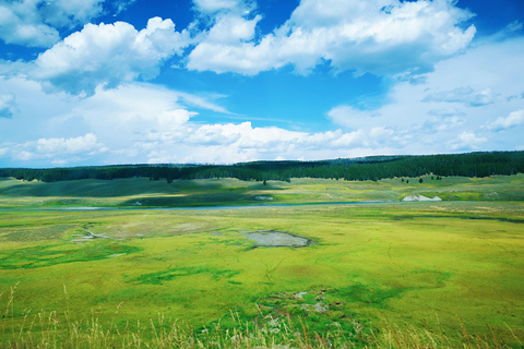 5 Days Tours | Yellowstone National Park, Grand Teton Quad occupancy