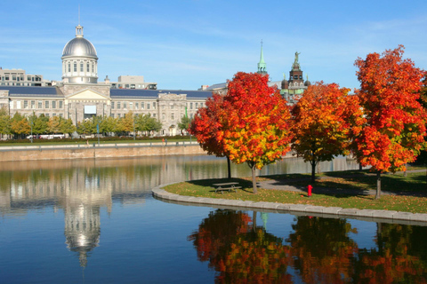 Old Montreal Private Walking Tour with Cruise Tickets 3,5-hour: Old Montreal and Cruise Tour