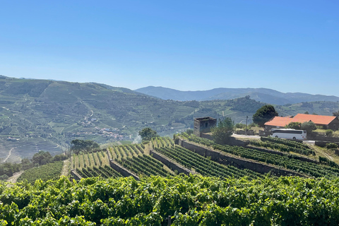 From Porto: Douro Valley Private Tour w/ 3 Wineries & Lunch Douro Valley Authentic Tour w/ 3 wineries & lunch in French