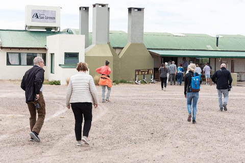 Península Valdés med Estancia San Lorenzo (heldag)