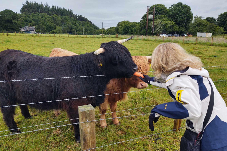 Lo mejor de las Highlands: Excursión de un día al Lago Ness, Clava Cairns y más