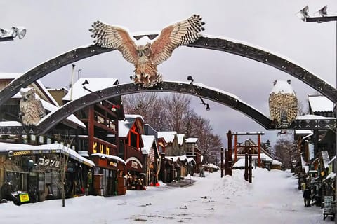 Shore Excursion: 4- or 6-hour Kushiro Highlights - Image 2