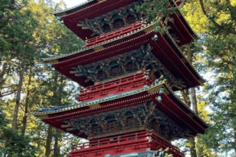 From Tokyo: Nikko World Heritage Full Day Private Tour