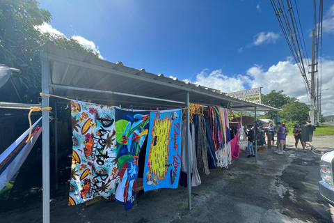 El Yunque Rainforest; Waterslides, Beach, Dine and Shop Tour El Yunque Rainforest Waterslides and Beach Tour