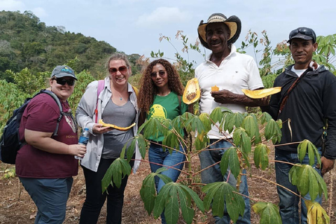 UTV & Horseback Tour with Wildlife Views from Cartagena