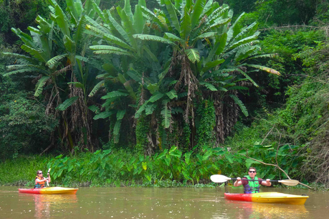 Chiang Mai: 25 km di tempo libero in mountain bike e kayak nella giunglaDa Chiang Mai: tour in bici e kayak