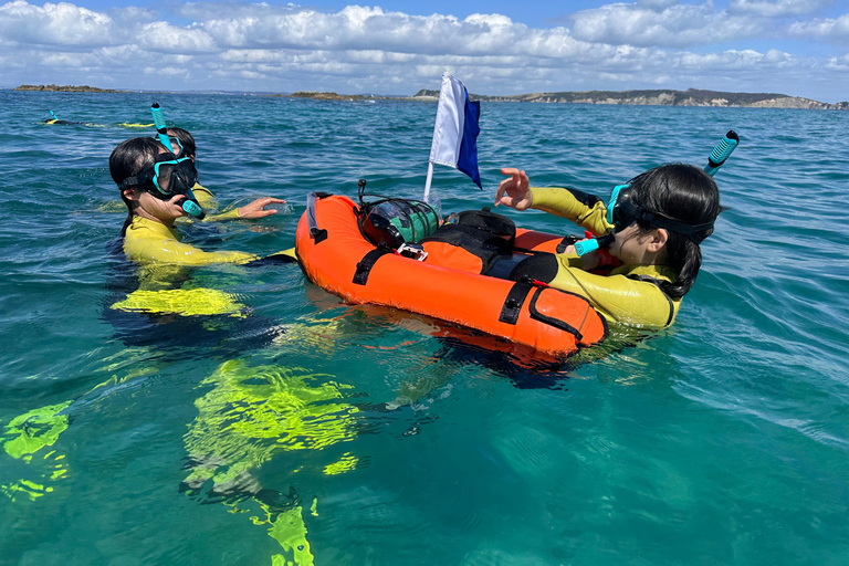 Auckland: Guided Snorkeling Tour and Island Exploration